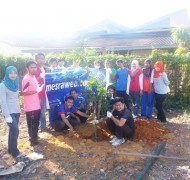 Tanam Pokok di Simpang Kuala